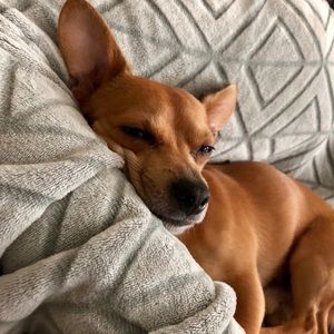 Meet your Posher, Selena